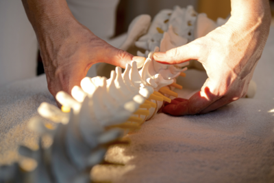 A pair of hands gently manipulate a model of a human spine, illustrating the vertebrae's alignment. The setting is warmly lit, emphasizing the careful examination of the spine's structure.