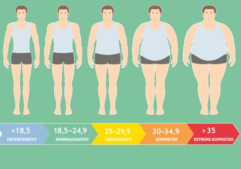 Das Bild zeigt fünf männliche Figuren mit unterschiedlichem Körperbau, die jeweils verschiedene Gewichtskategorien repräsentieren: Untergewicht, Normalgewicht, Übergewicht, Adipositas und extreme Adipositas. Unterhalb der Figuren befindet sich eine farbige Skala zur Darstellung dieser Gewichtskategorien.