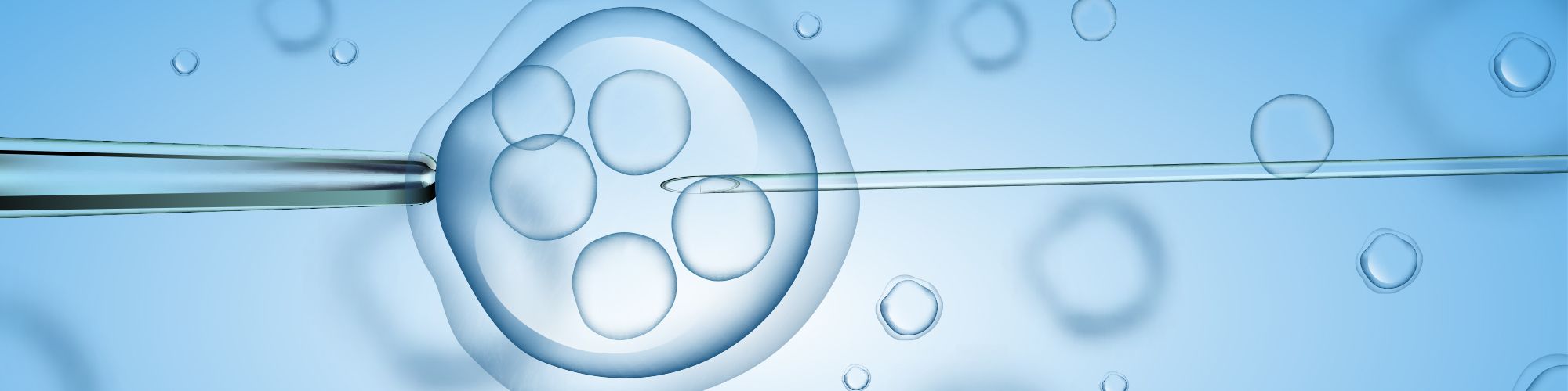 A close-up image shows a thin needle approaching a cell, with multiple smaller cells visible inside it. The background is a gradient of blue, emphasizing the focus on the cell and needle. This illustrates a process related to cell manipulation or scientific research.