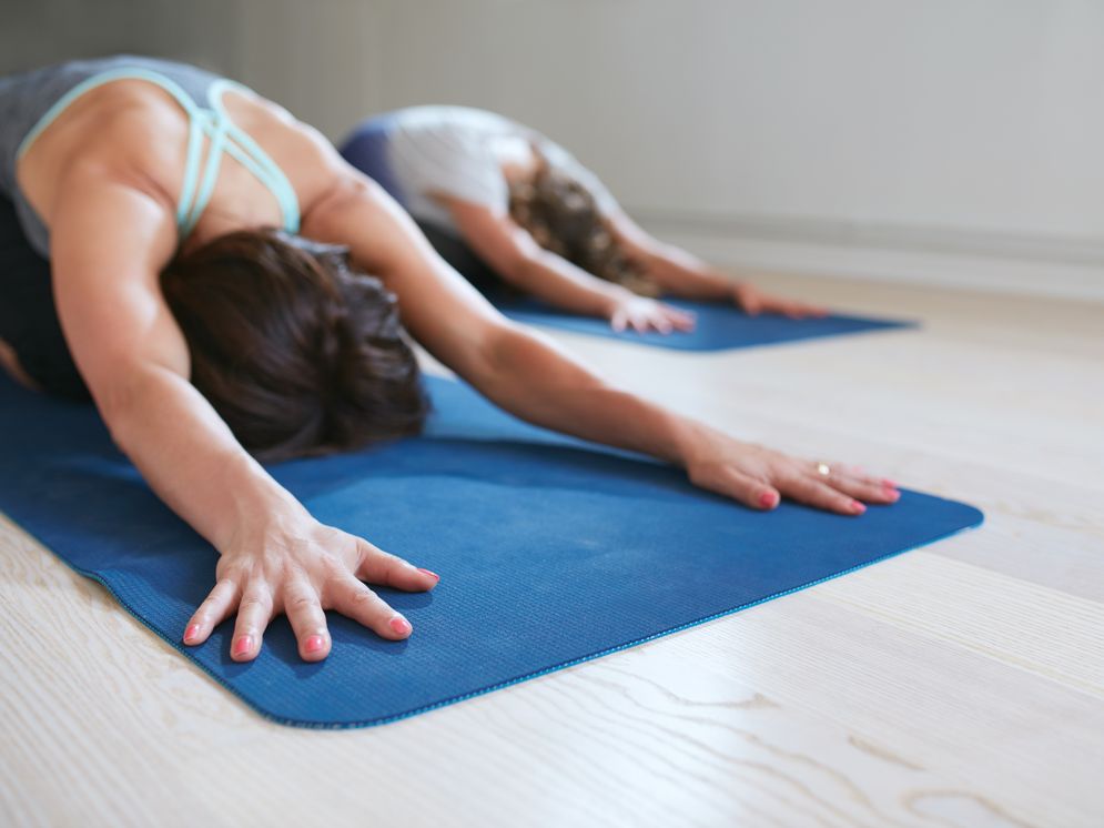 Two individuals are practicing yoga on blue mats. They are in a forward bend position, with their arms extended forward and heads down. The setting suggests a calm and peaceful environment conducive to relaxation and mindfulness.