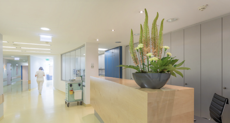A hospital reception area is depicted, featuring a wooden front desk with a large decorative plant arrangement. A staff member in white scrubs is walking away down a corridor, which leads to various medical rooms. Soft lighting enhances the clean and spacious environment.