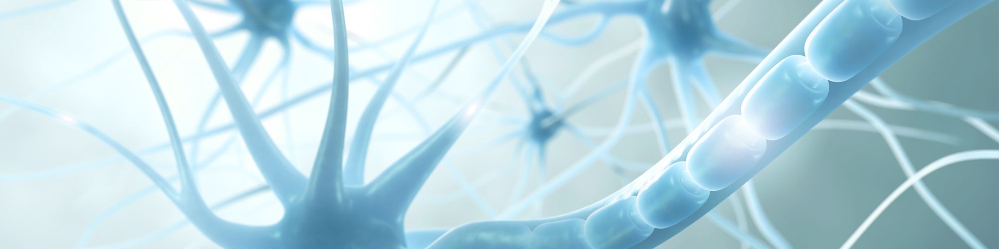 Close-up image of interconnected neurons with a soft blue hue, showcasing their intricate structures. The focus is on the branches and cell bodies, emphasizing the complexity of the nervous system. The background is light, enhancing the ethereal quality of the neural network.